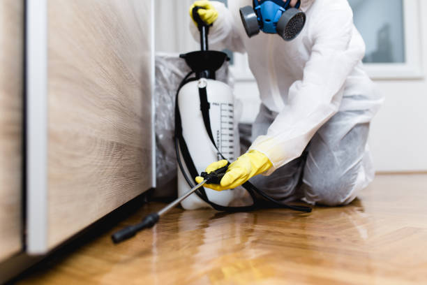 Best Affordable Pest Control Services  in Springfield, MO