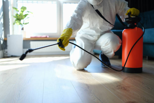 Insect Control in Springfield, MO